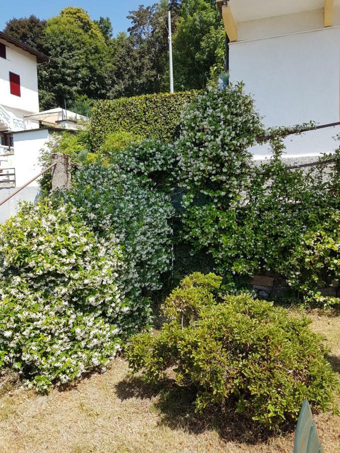 La Palma Villa Miazzina ภายนอก รูปภาพ